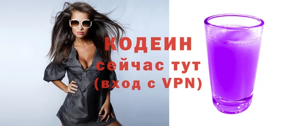 молекула духа Козельск