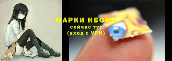 индика Инта